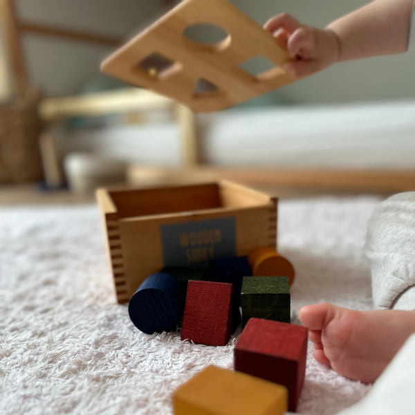 Montessori Sortierbox | Steckbox aus Holz in Regenbogenfarben
