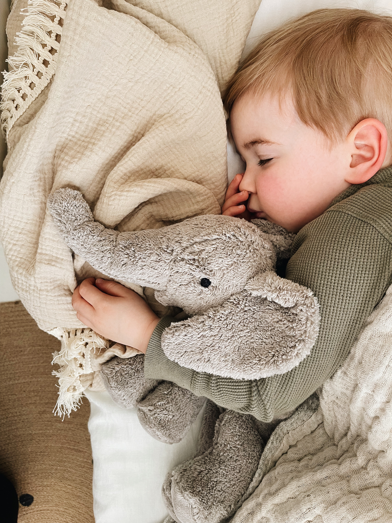 Kuscheltier & Wärmekissen kleiner Elefant